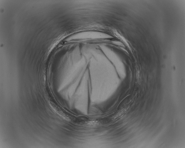 X0000068820059200605261601