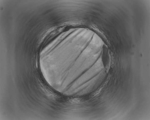 X0000068820062200605261601