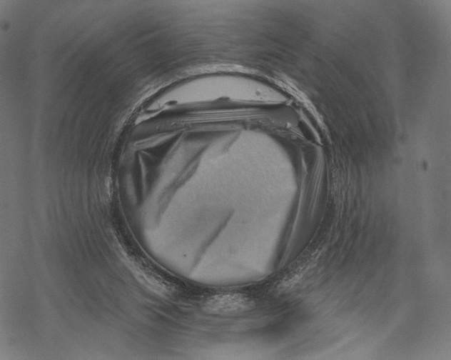 X0000068820063200605261601