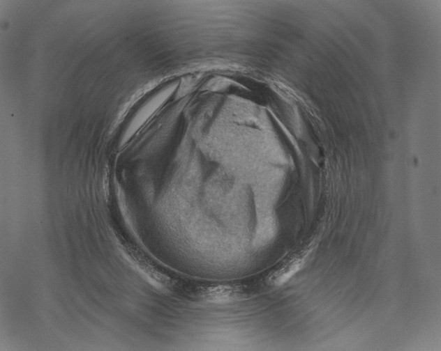 X0000068820064200605261601