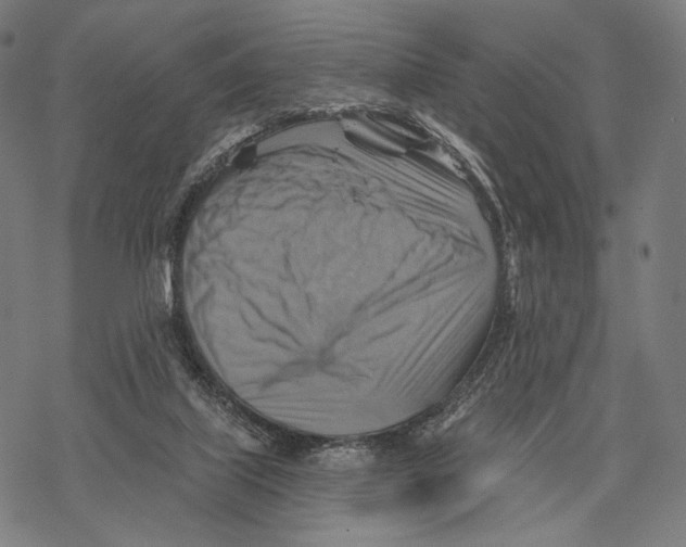 X0000068820067200605261601