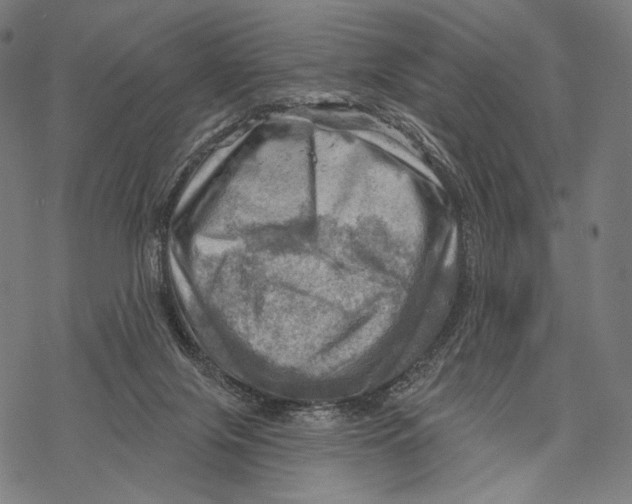 X0000068820071200605261601
