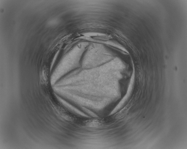 X0000068820074200605261601