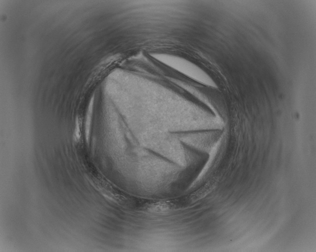 X0000068820075200605261601
