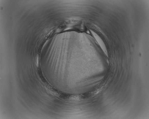 X0000068820076200605261601