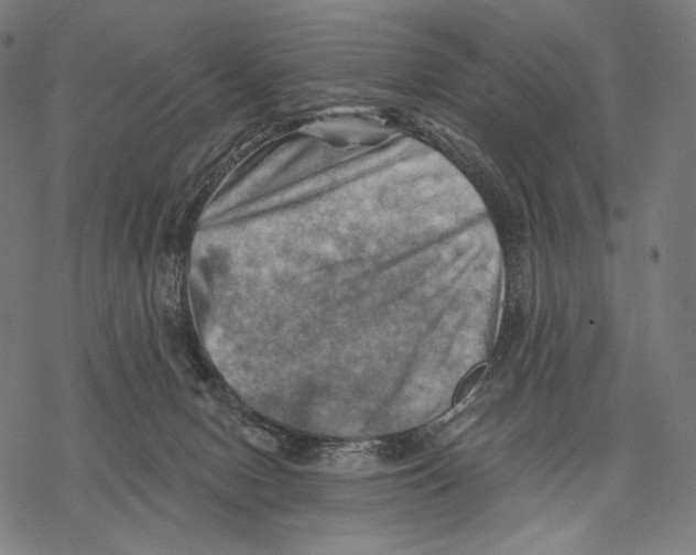 X0000068820078200605261601
