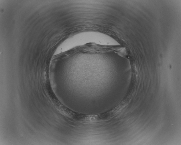 X0000068820080200605261601