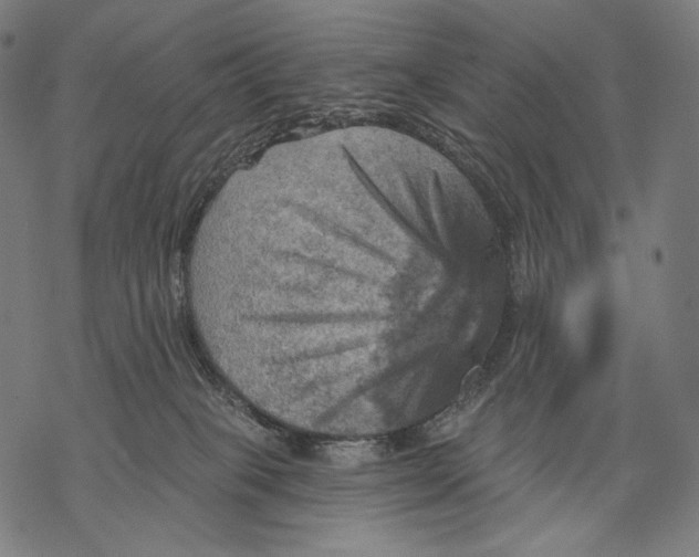 X0000068820085200605261601