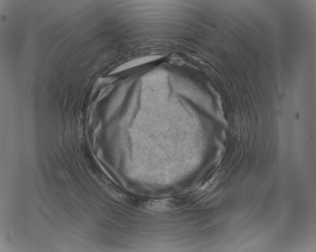 X0000068820086200605261601