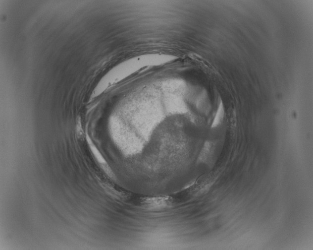 X0000068820089200605261601