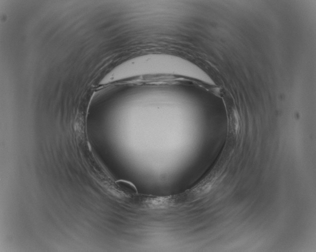 X0000068820092200605261601