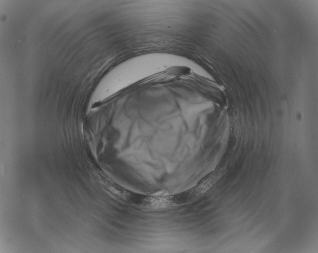 X0000068820093200605261601