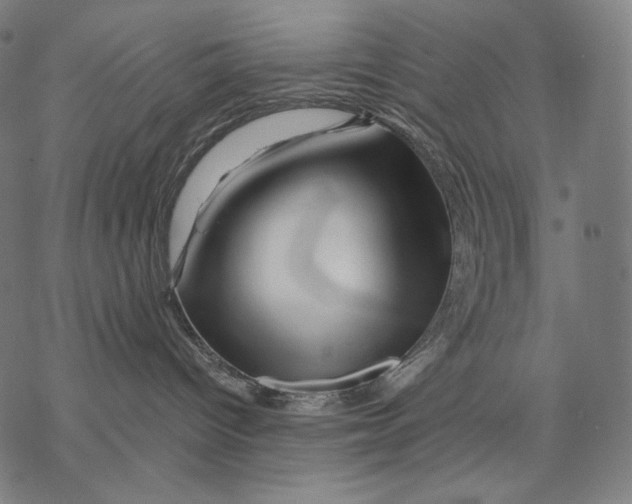 X0000068820096200605261601
