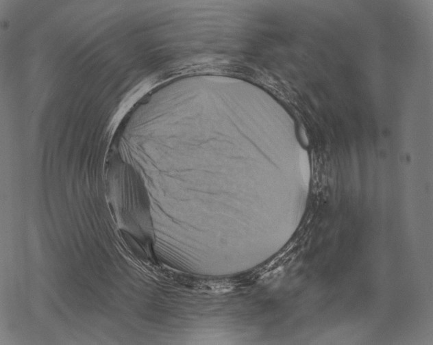 X0000068820099200605261600