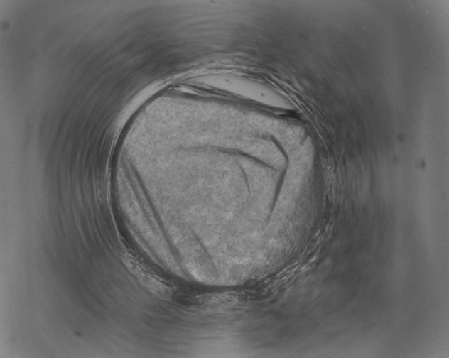 X0000068820100200605261600
