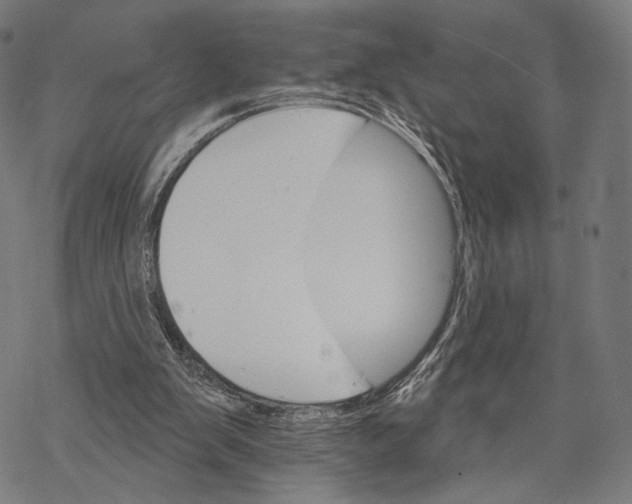 X0000068820103200605261600