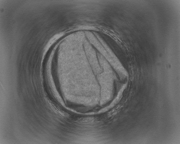 X0000068820104200605261600
