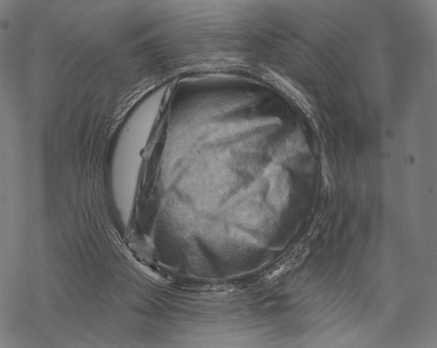 X0000068820105200605261600