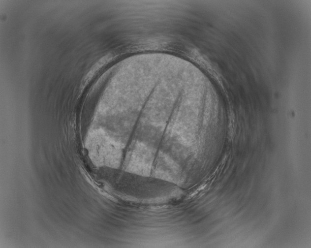 X0000068820107200605261600