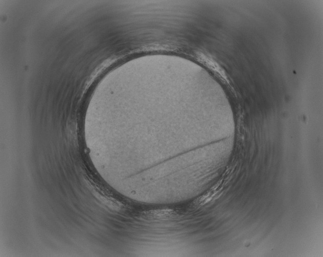 X0000068820108200605261600