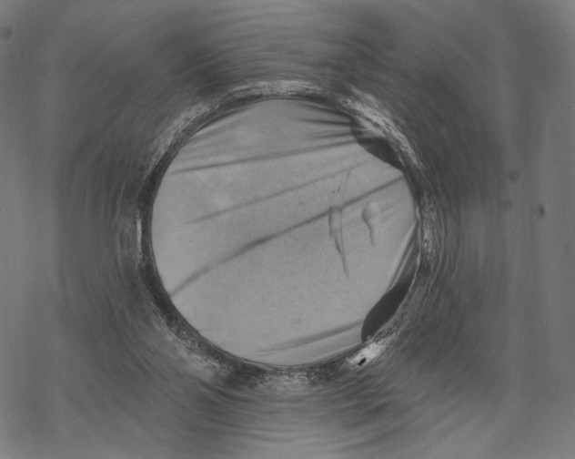 X0000068820110200605261600