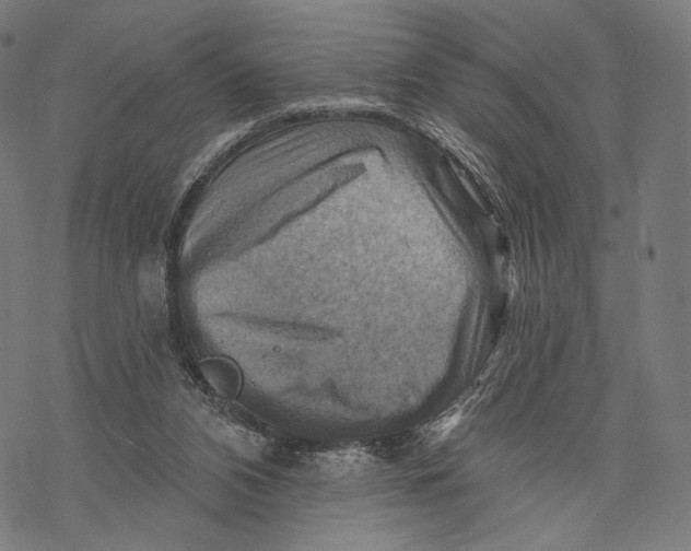 X0000068820112200605261600