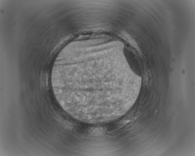 X0000068820115200605261600