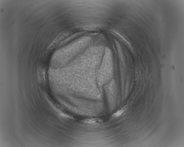 X0000068820117200605261600
