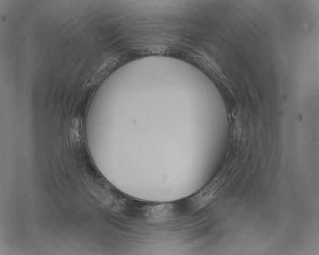 X0000068820122200605261600