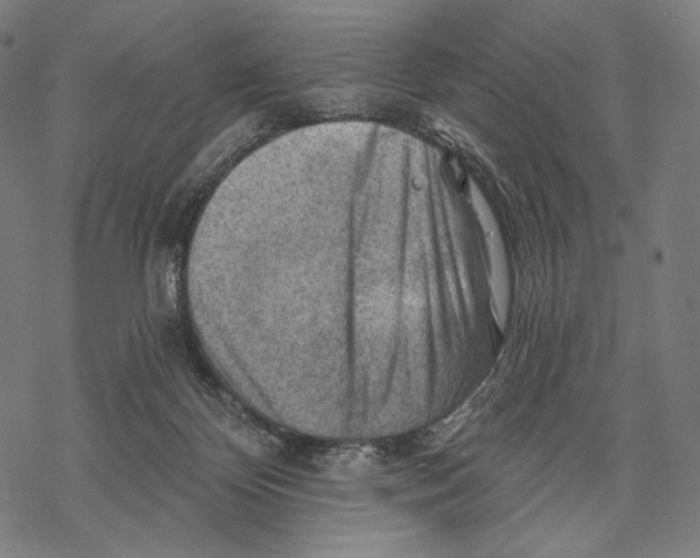 X0000068820124200605261600