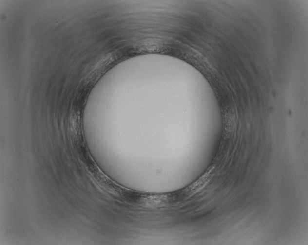 X0000068820126200605261600