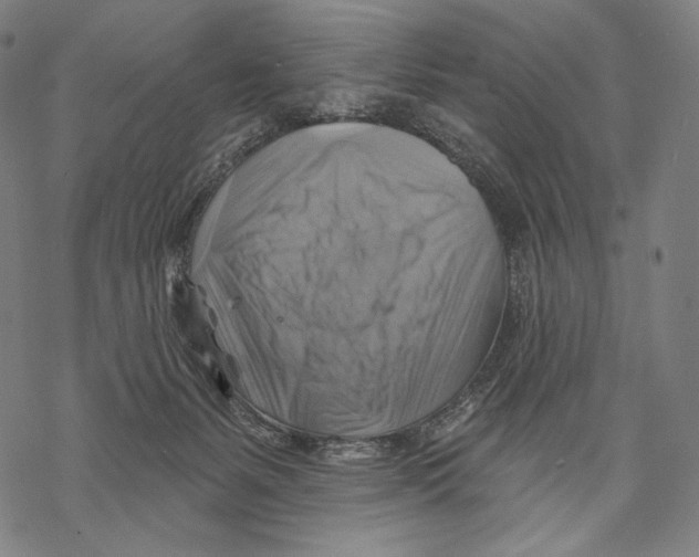 X0000068820127200605261600