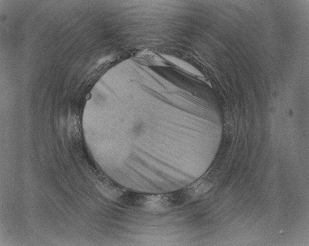 X0000068820130200605261600