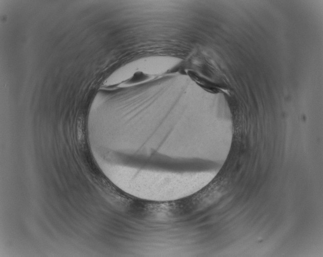 X0000068820131200605261600