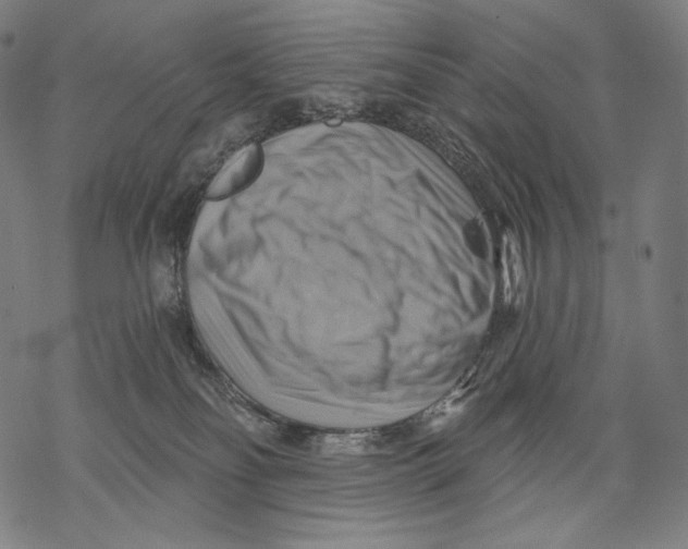 X0000068820134200605261600