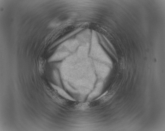 X0000068820138200605261600