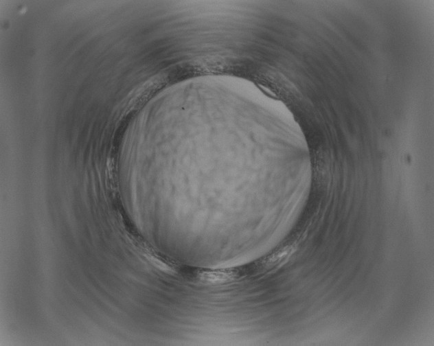 X0000068820139200605261600