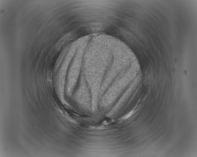 X0000068820140200605261600