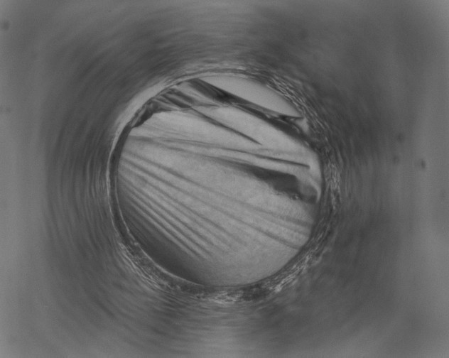 X0000068820148200605261559