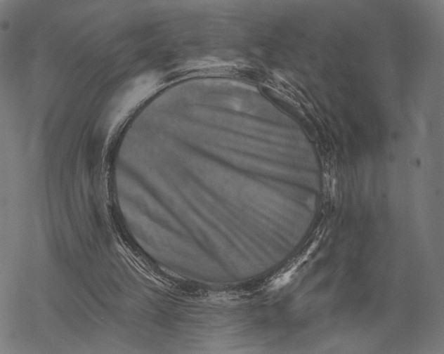 X0000068820149200605261559