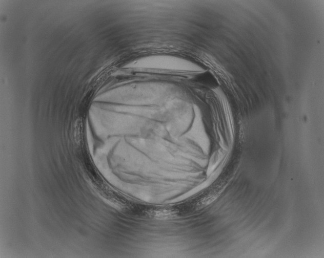 X0000068820165200605261559