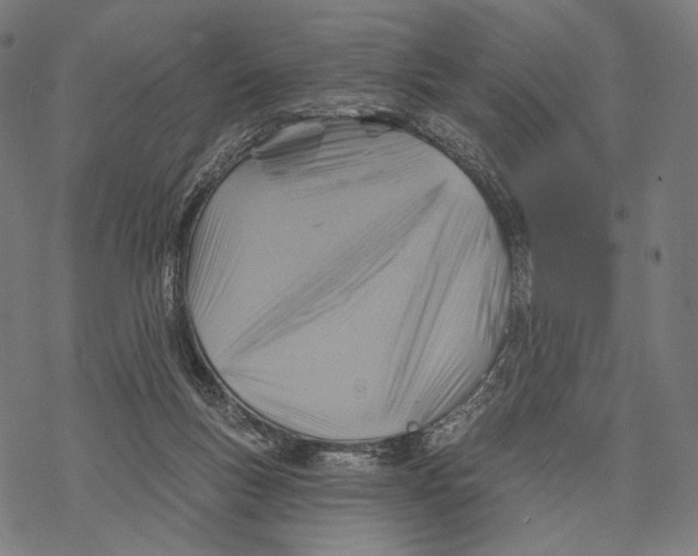 X0000068820167200605261559