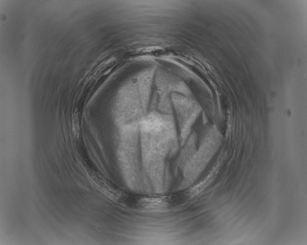 X0000068820170200605261559