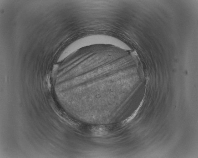 X0000068820174200605261559