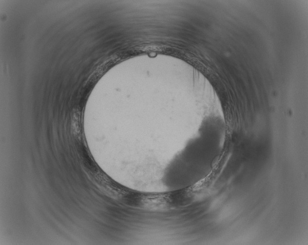 X0000068820175200605261559