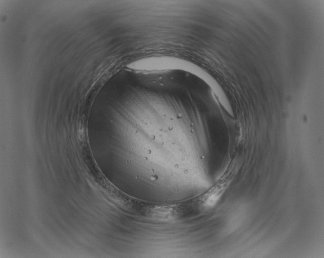 X0000068820176200605261559