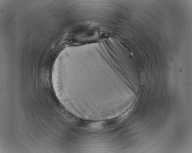 X0000068820178200605261559