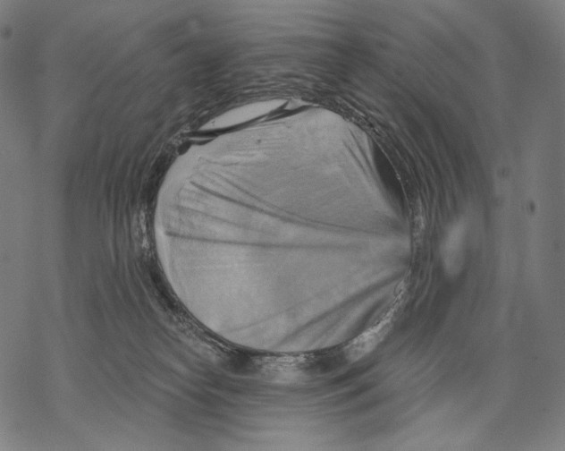 X0000068820182200605261600