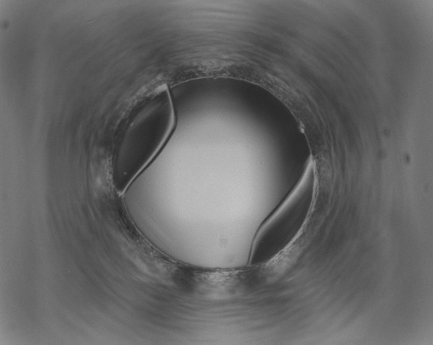 X0000068820184200605261600