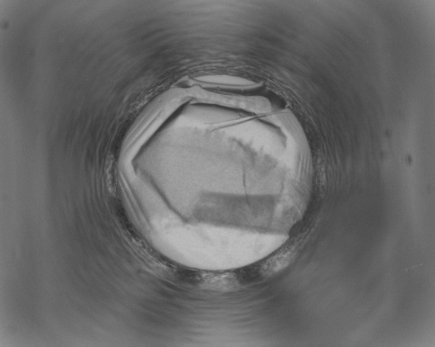 X0000068820185200605261600